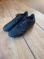 Fussballschuhe Adidas Predator Sachsen-Anhalt - Schönebeck (Elbe) Vorschau