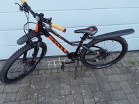 Scool Jugendrad für Kinder ab 10 Jahren Rheinland-Pfalz - Katzwinkel (Sieg) Vorschau