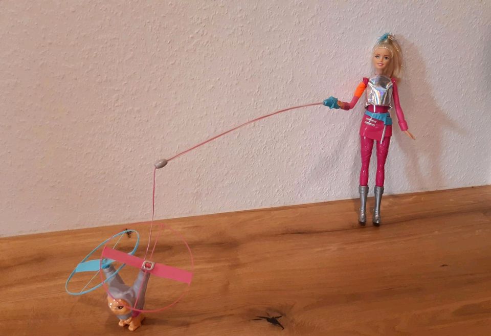 Barbie Sammlung mit viel Zubehör und Polly Pocket in Allendorf