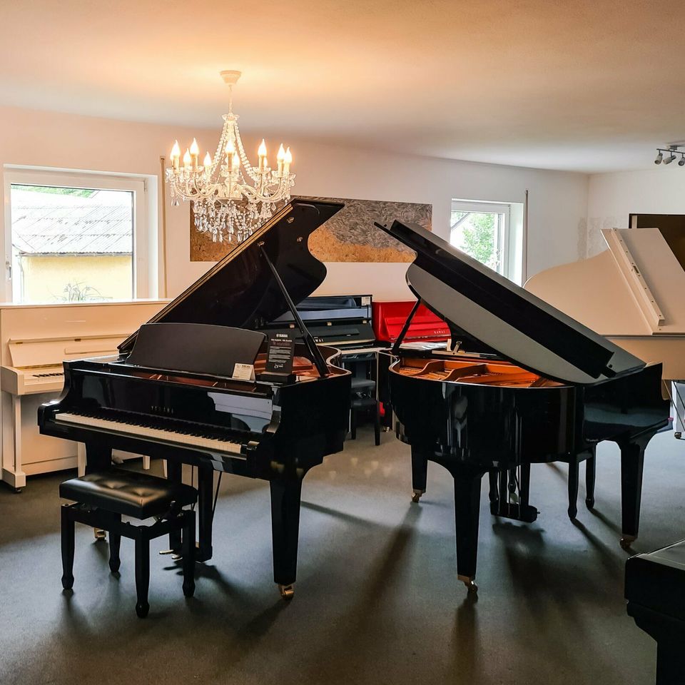 STEINWAY & SONS Klavier Mod. N, schwarz poliert, 137 cm in Tirschenreuth