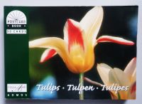 Postkartenbuch Tulpen, Set 30 Postkarten, Natur Postcrossing Nordrhein-Westfalen - Hamm Vorschau