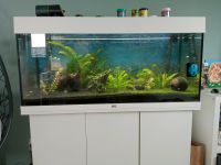 Aquarium 180 l von Juwel Nordrhein-Westfalen - Mechernich Vorschau