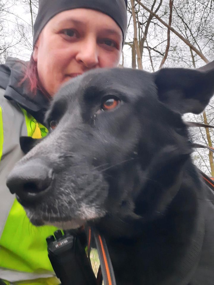 Hundetrainer-in/mobile Hundeschule, Mantrailing im Wendland in Lüchow