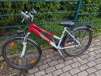 Fahrrad Pegasus Avanti Nordrhein-Westfalen - Hagen Vorschau