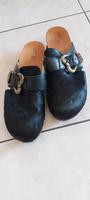 Fellclogs von Scholl Bayern - Augsburg Vorschau