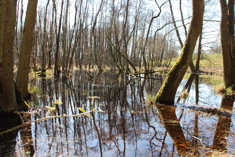 Natur, Ruhe, viel Platz für Kinder, Seenähe in Fürstenberg/Havel