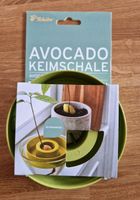 Avocado Keimschale - Tschibo (NEU) Nürnberg (Mittelfr) - Mitte Vorschau