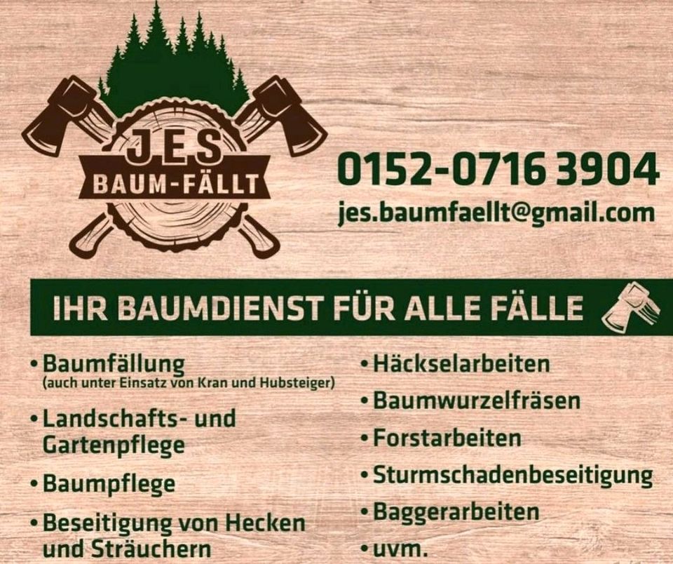 Baumfällung Baumschnitt Heckenrückschnitt in Blomberg