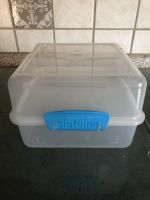 Sistema Lunchbox to go 1,4l Bentobox Schleswig-Holstein - Albersdorf Vorschau