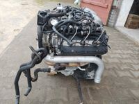 MOTOR AUDI A4 A6 2.7 TDI CAM CAMA CGK CGKA 135 TSD KM Hessen - Körle Vorschau