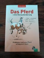 Das Pferd - eine Herausforderung Gröpelingen - Gröpelingen Vorschau