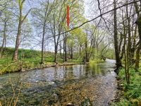 AUKTION: 0,8 ha Waldflächen Thüringen - Erfurt Vorschau