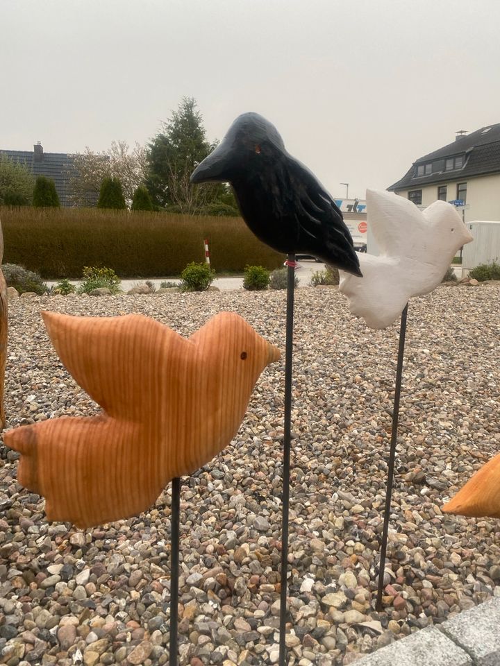 Garten Vögel in Kiel