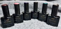 Shellac etc Jolifin Nordrhein-Westfalen - Senden Vorschau