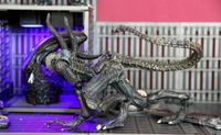 Playarts Kai LURKER Alien colonial marines Hessen - Offenbach Vorschau