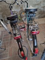 Zwei Herkules Fahrräder für 100 Euro Nürnberg (Mittelfr) - Nordstadt Vorschau