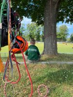 Job als Baumpfleger/ European Treeworker Thüringen - Zeulenroda Vorschau