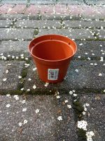 Grow Anzuchttopf 8cm - 31Stück Leipzig - Altlindenau Vorschau