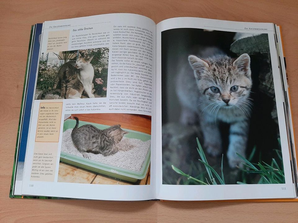 Katzen- Unsere zärtlichen Freunde- Sachbuch von Antje Breuer in Thum