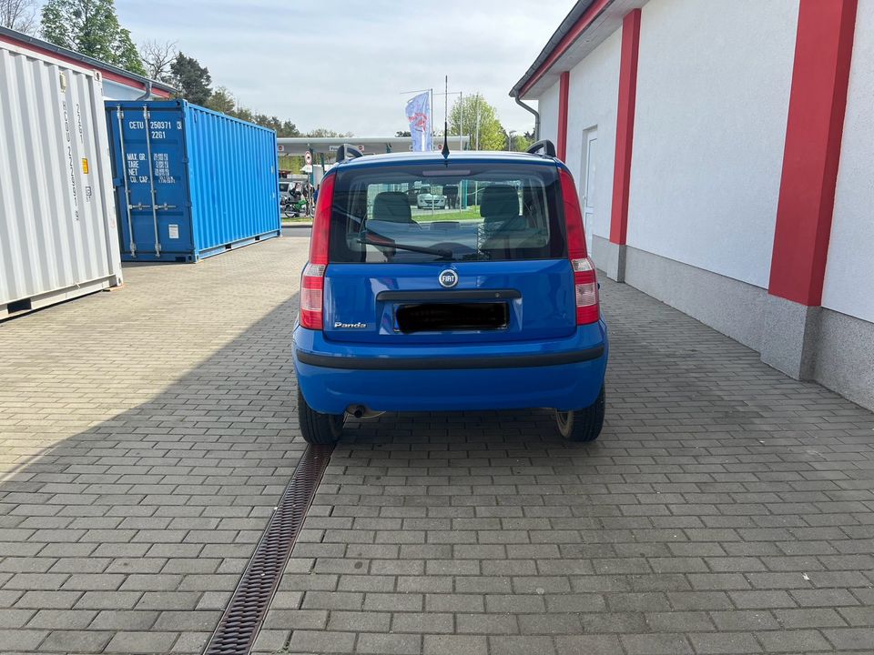 Fiat Panda 1.2 Automatik! in Falkensee