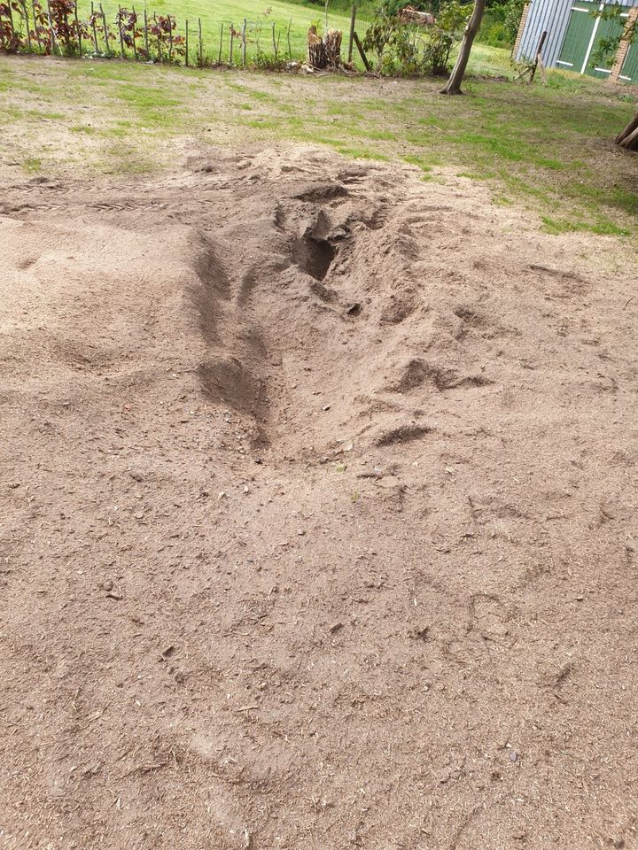 Baumstumpfentfernung Deutschland / Niederlande in Gronau (Westfalen)