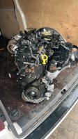 MOTOR CJX 2.0TFSI AUDI SEAT VW SKODA Nordrhein-Westfalen - Schloß Holte-Stukenbrock Vorschau