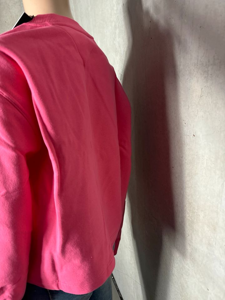 Tommy hilfiger Jeans Sweater Sweatshirt cropped pink neu XL 42 in Erlabrunn