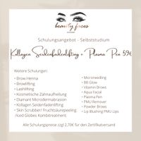 Plasma Pen Kollagen Seidenfadenlifting Seminar Selbststudium Innenstadt - Köln Altstadt Vorschau