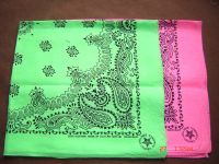 2 Stück Bandana Nikituch Neon grün , pink 54x54 cm Bayern - Seefeld Vorschau