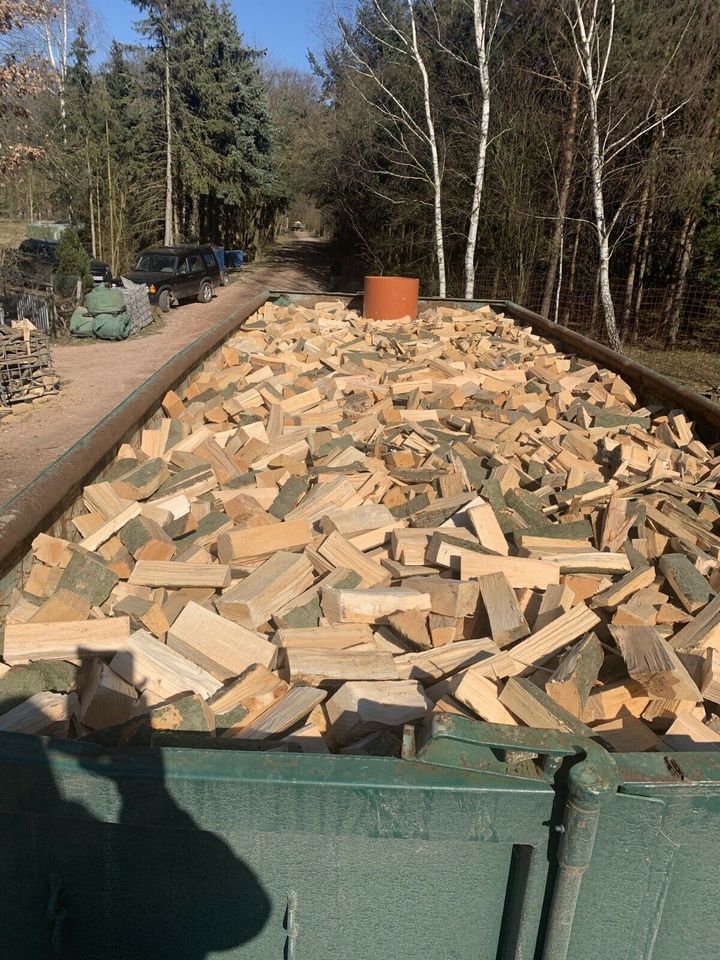 Lohnspalten Holzspalten Brennholz Sägespaltautomat in Wendisch Evern