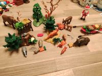 Playmobil Adventskalender Wildtiere Saarland - Nalbach Vorschau