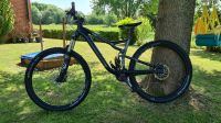 Cannondale Trigger Alloy 2 29er Nordrhein-Westfalen - Petershagen Vorschau