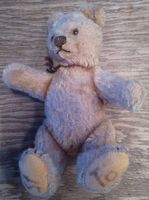 Original Steiff Teddy 18cm mit Halsband Hannover - Ricklingen Vorschau