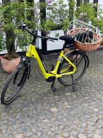Hunde Fahrradkorb Weide mit Drahtkorb für Gepäckträger Niedersachsen - Bad Iburg Vorschau