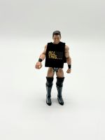 WWF/WWE Jakks Mattel Wrestling Figur The Miz 2012 Mattel Baden-Württemberg - Filderstadt Vorschau