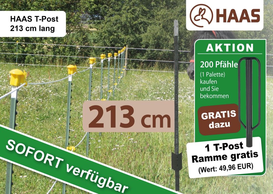 200 HAAS T-Post Pfähle 213 cm + 1 Ramme GRATIS in Nümbrecht