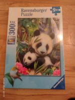 Ravensburger Puzzle Baden-Württemberg - Ochsenhausen Vorschau