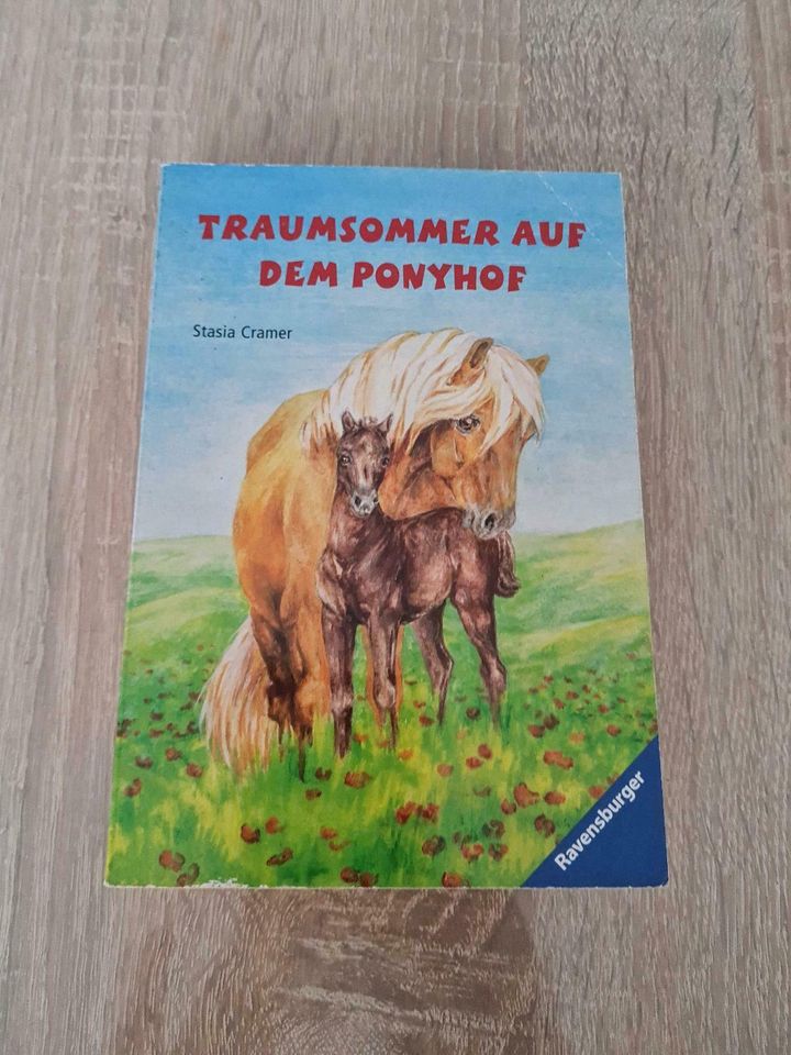 Traumsommer auf dem Ponyhof in Hollingstedt b Delve Holst