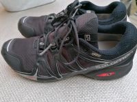 Salomon speedcross vario 2 Rheinland-Pfalz - Kaltenengers Vorschau