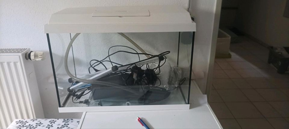 Aquarium / Terrarium / Fischbecken in Otzing