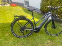 E  Bike Giant 625 Herren  Bauj.2021  NP 3700 € Rheinland-Pfalz - Emmelshausen Vorschau