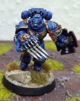 Warhammer 40K - Ultramarines Vanguard (klassisch) - bemalt Nordrhein-Westfalen - Lippetal Vorschau