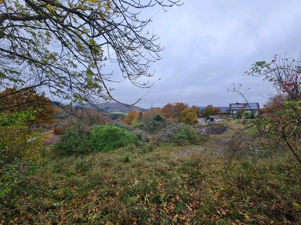 Grundstück Baugrundstück voll erschlossen mit Zufahrstweg in Hatzfeld (Eder)