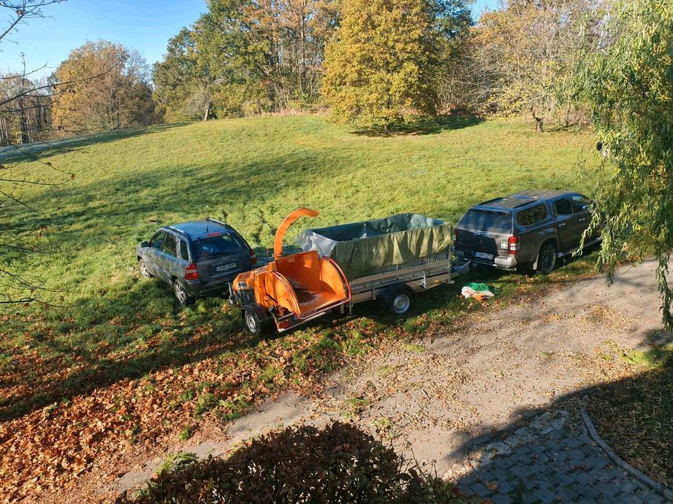 Heckenpflege - Rasenschnitt - Obstbaumschnitt zert. Baumkontrolle in Wittgensdorf