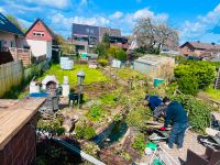 Garten, Bäumen entfernen, Hecke entfernen. Düsseldorf - Oberkassel Vorschau