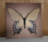 Leinwandbild mit Glitzerschmetterling Bayern - Rehau Vorschau