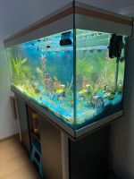 Aquarium 200 l komplett Nordrhein-Westfalen - Gronau (Westfalen) Vorschau