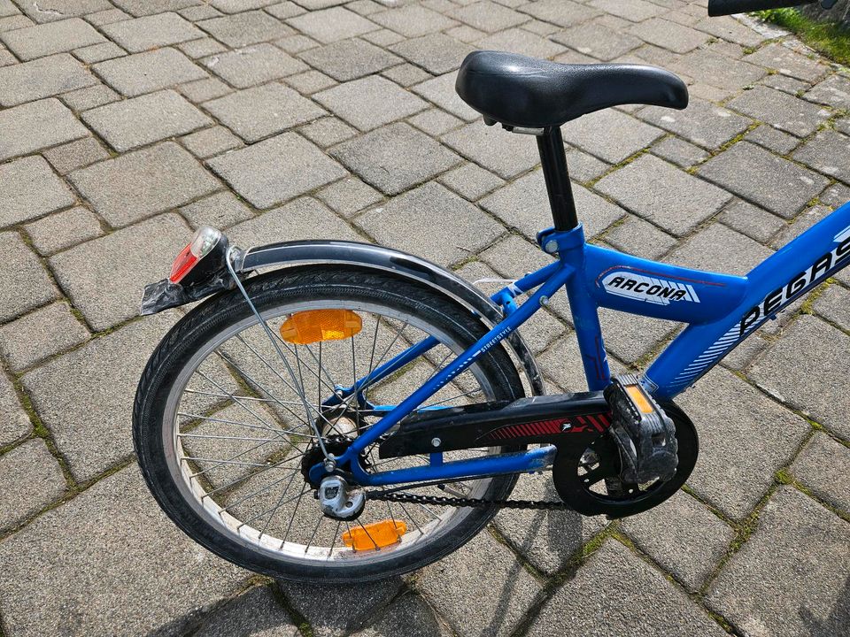 Kinderfahrrad Fahrrad Pegasus 20 Zoll in Steißlingen