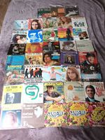 7" Schallplatten Sammlung 60er/70er ital. Pop Folk Baden-Württemberg - Hügelsheim Vorschau