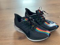 Nike Pegasus Running BeTrue Be True Gr. 42 LGBTQ Sachsen - Priestewitz Vorschau